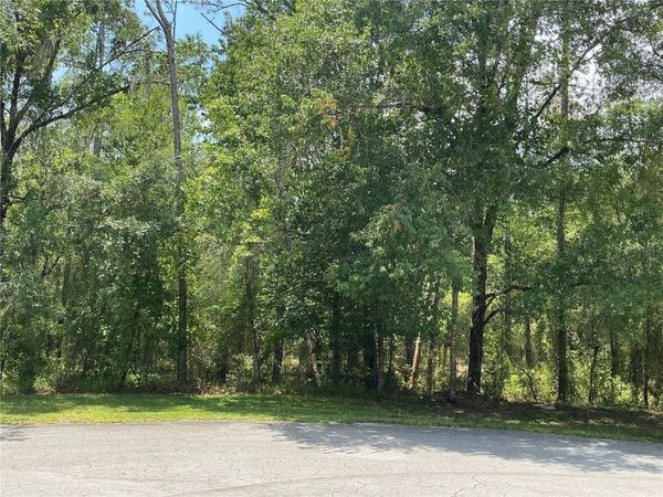 SW 90TH PLACE , DUNNELLON, FL 34431