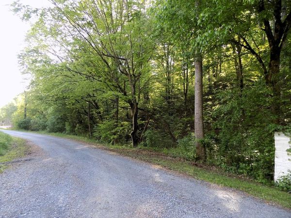 23 Driftwood Road , Unit 023.04, Cosby, TN 37722