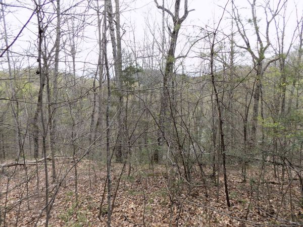 1 Mountain Shadow Way , Unit 85186, Cosby, TN 37722
