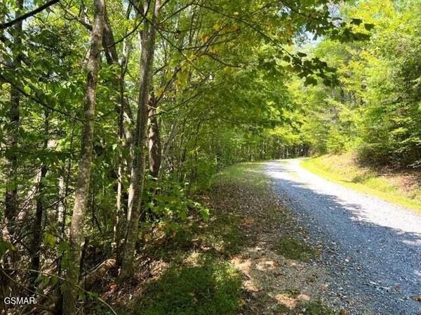 8 Faith Mountain Way , Unit 8, Hartford, TN 37753