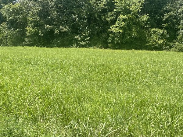 0 Summer Lake , Unit 2, Winchester, TN 37398