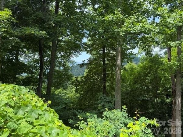 Lot 22 Spring Rock Road , Burnsville, NC 28714