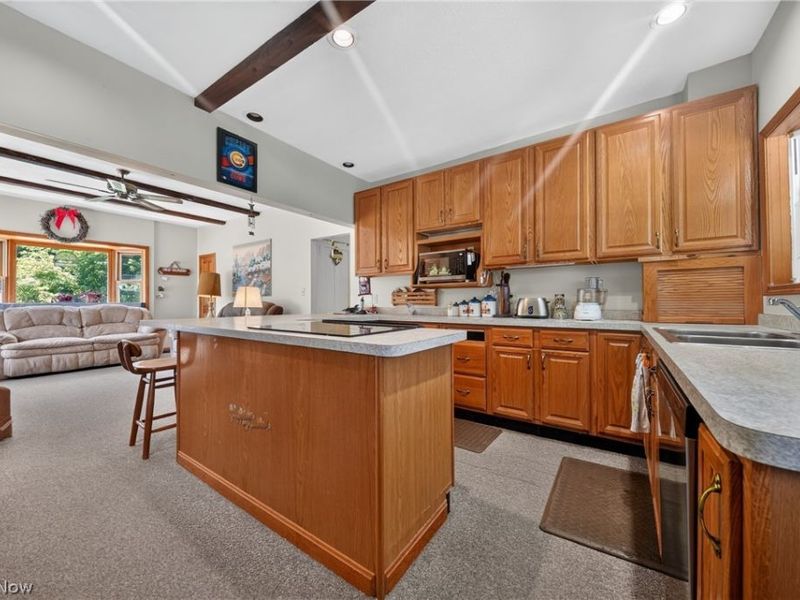 498 Mill Road, Conneaut, OH 44030 Photo 11