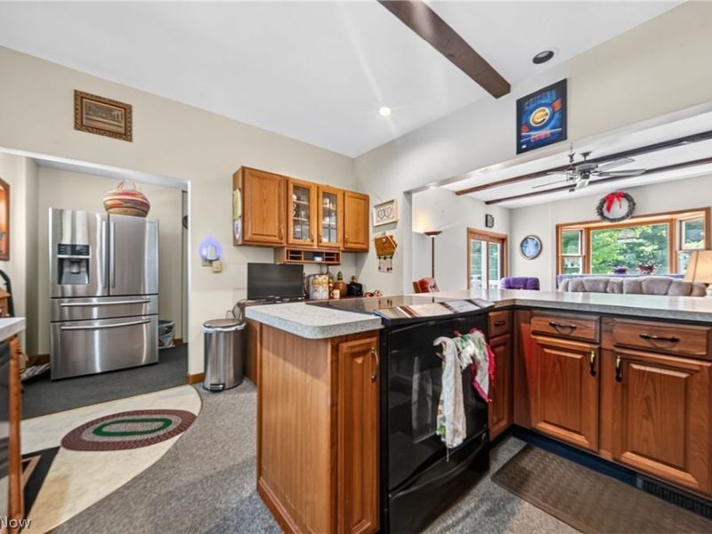498 Mill Road, Conneaut, OH 44030 Photo 7