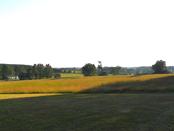 Ritchie Road E, Lincoln, MI 48742