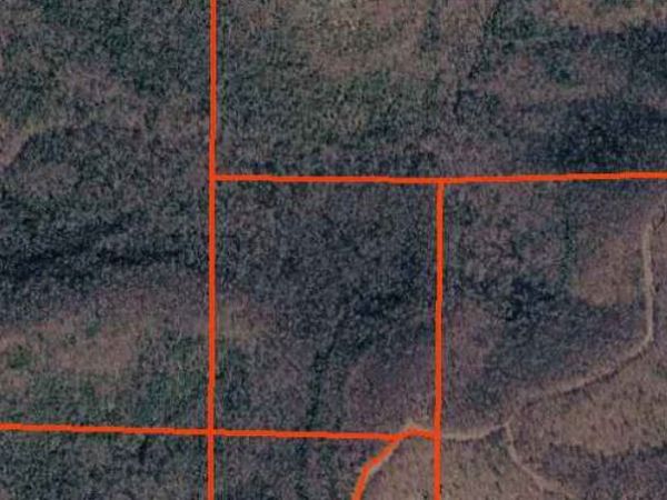 001-00411-000 - Tract 5 Mallard Terrace , Yellville, AR 72687