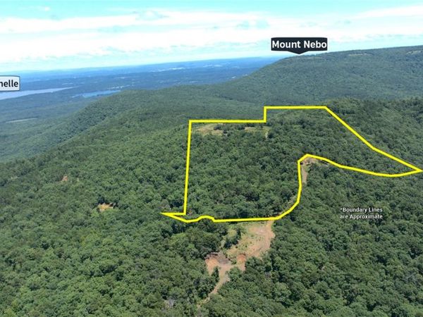 Tater Mountain North , Dardanelle, AR 72834