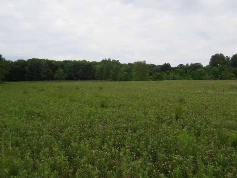 9730 Butcher Road , Mount Vernon, OH 43050 Photo 1