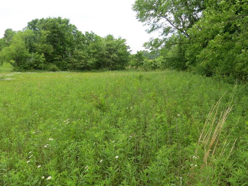 9730 Butcher Road , Mount Vernon, OH 43050 Photo 3