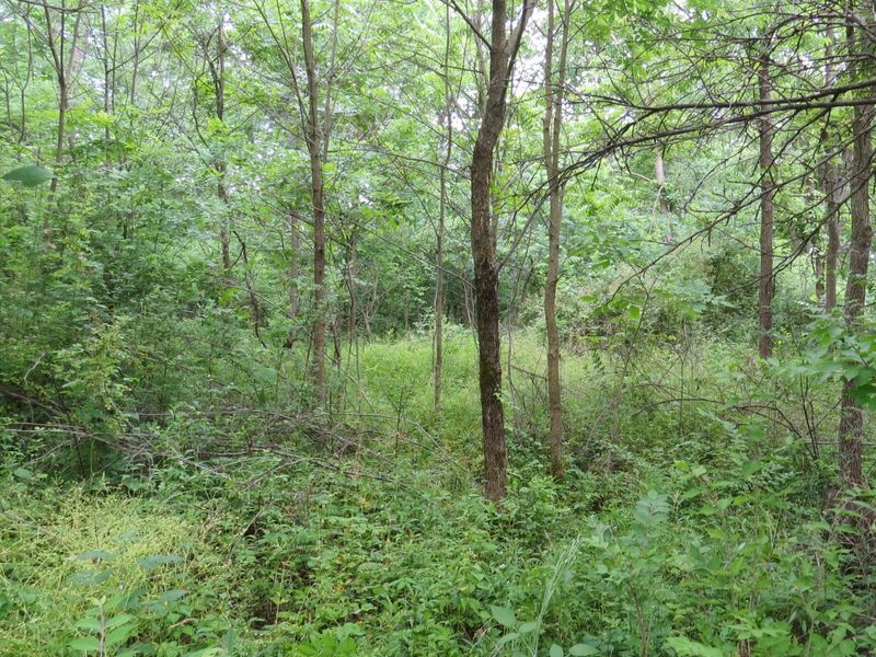 9730 Butcher Road , Mount Vernon, OH 43050 Photo 5
