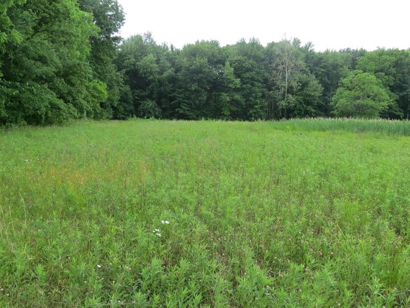 9730 Butcher Road , Mount Vernon, OH 43050 Photo 6