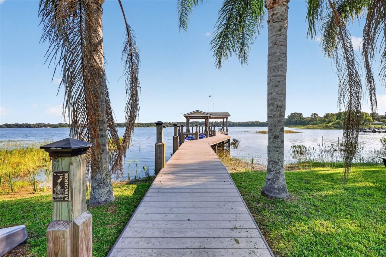 4634 Bigler Lane, Mount Dora, FL 32757 Photo