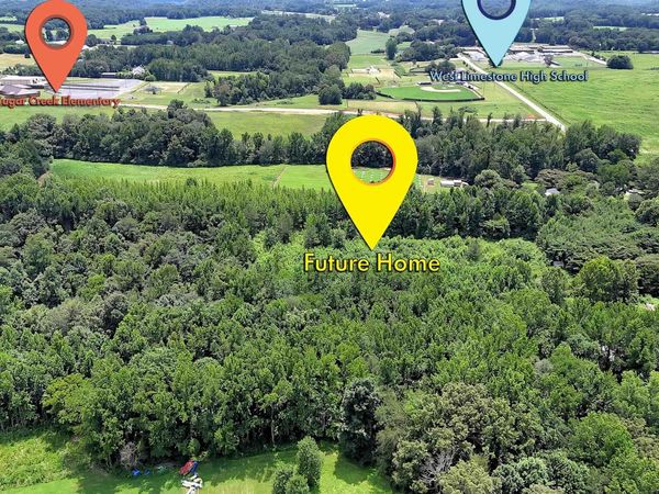 26600 W Limestone School Road, Lester, AL 35647