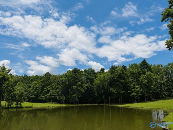 Lot 13 County Road 131, Cedar Bluff, AL 35959