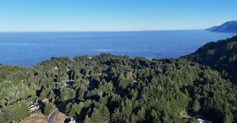 100 Beaver Ct, Whitethorn, CA 95589 Photo
