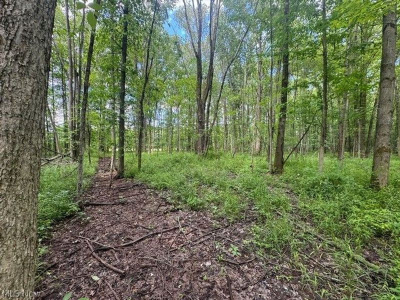 Shafer Road, Warren, OH 44481 Photo 10