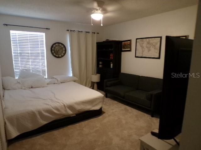 5766 Forester Pine Court, Sarasota, FL 34243 Photo