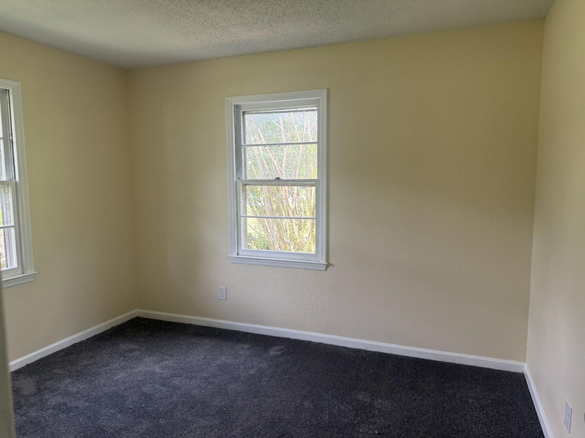 220 Eastwood Circle Photo 15