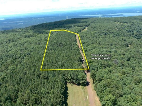 Spring Mountain Airstrip , Dardanelle, AR 72834