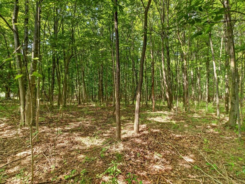 0 Brownhelm Station Road, Vermilion, OH 44089 Photo 2