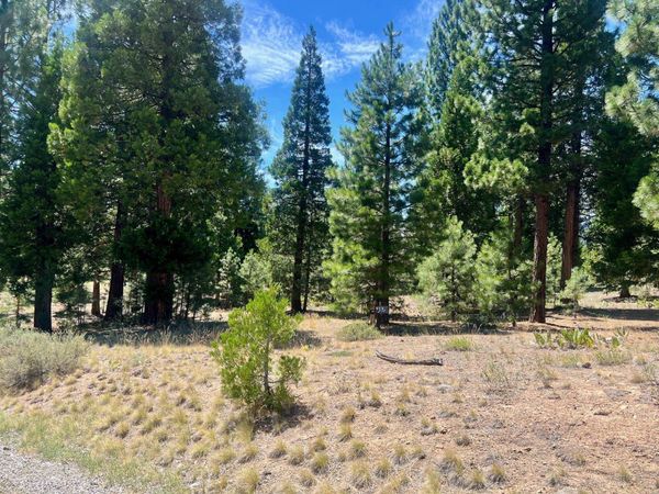 278 Peppergrass Lane , Portola, CA 96122