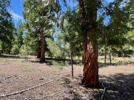 278 Peppergrass Lane , Portola, CA 96122 Photo