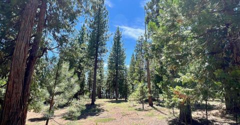 278 Peppergrass Lane , Portola, CA 96122 Photo