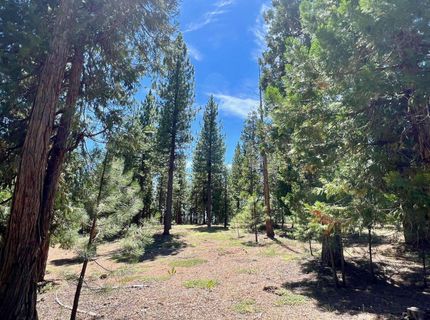 278 Peppergrass Lane , Portola, CA 96122 Photo