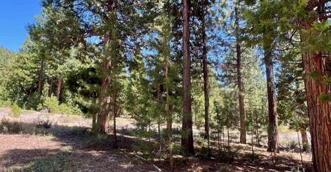 278 Peppergrass Lane , Portola, CA 96122 Photo