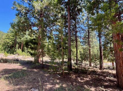 278 Peppergrass Lane , Portola, CA 96122 Photo