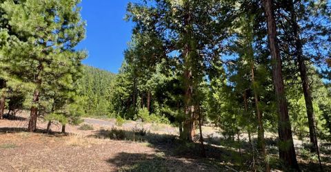278 Peppergrass Lane , Portola, CA 96122 Photo
