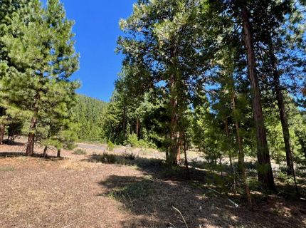 278 Peppergrass Lane , Portola, CA 96122 Photo