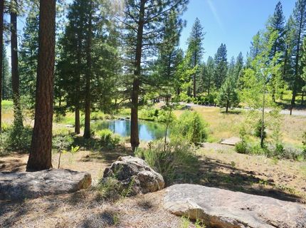 278 Peppergrass Lane , Portola, CA 96122 Photo