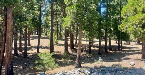 278 Peppergrass Lane , Portola, CA 96122 Photo