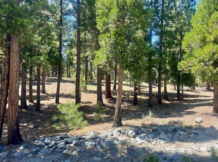 278 Peppergrass Lane , Portola, CA 96122 Photo