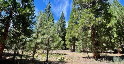 278 Peppergrass Lane , Portola, CA 96122 Photo