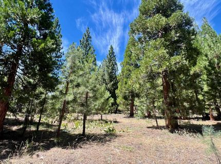 278 Peppergrass Lane , Portola, CA 96122 Photo
