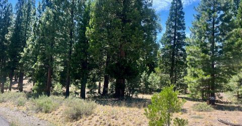 278 Peppergrass Lane , Portola, CA 96122 Photo