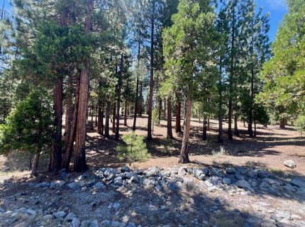 278 Peppergrass Lane , Portola, CA 96122 Photo