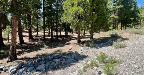 278 Peppergrass Lane , Portola, CA 96122 Photo
