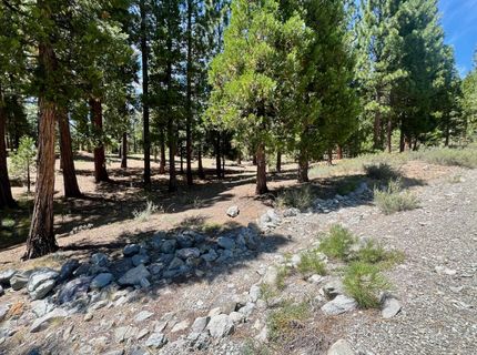 278 Peppergrass Lane , Portola, CA 96122 Photo
