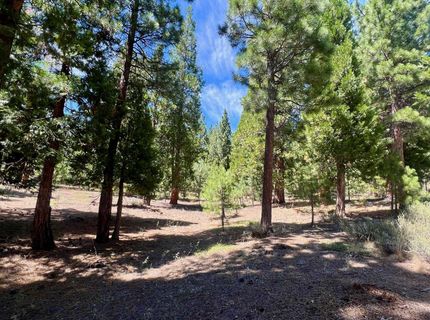 278 Peppergrass Lane , Portola, CA 96122 Photo