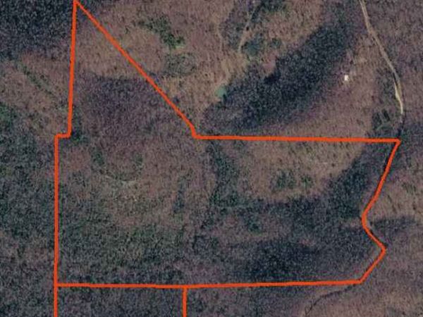 001-00411-000 - Tract 6 Mallard Terrace , Yellville, AR 72687