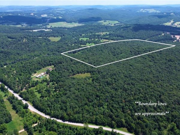 78 Acres Hwy 21 , Berryville, AR 72616