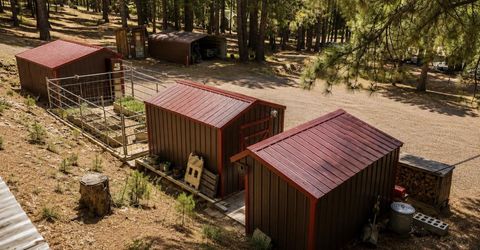 294 April Lane , Blairsden-Graeagle, CA 96103 Photo