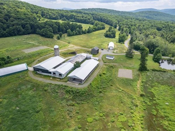 2020 Federal Hill Road, Unit 2, Delhi, NY 13753
