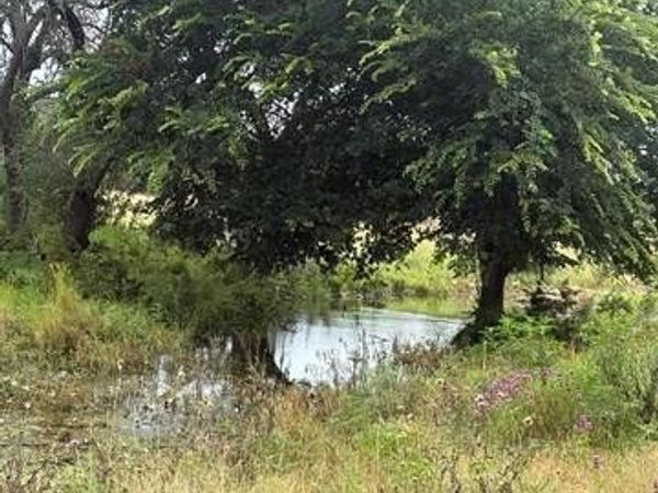 TBD County Road 200 , Burnet, TX 78611