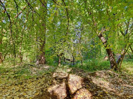 12176 E Bennett Rd, Grass Valley, CA 95945 Photo