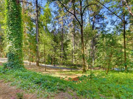 12176 E Bennett Rd, Grass Valley, CA 95945 Photo