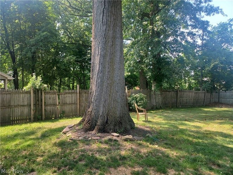 456 Norwood Avenue, Youngstown, OH 44504 Photo 37